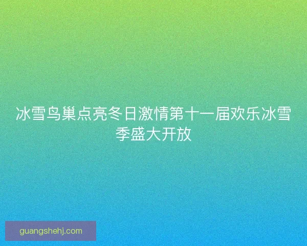 冰雪鸟巢点亮冬日激情第十一届欢乐冰雪季盛大开放